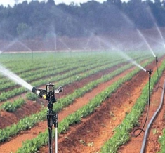 Irrigation